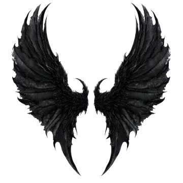 a pair of wings on a white background