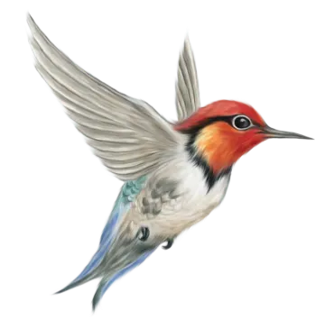 a painting of a bird with its wings spread