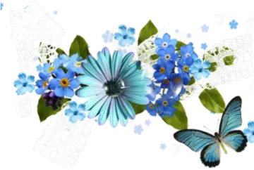 blue flowers and butterflies on a white background