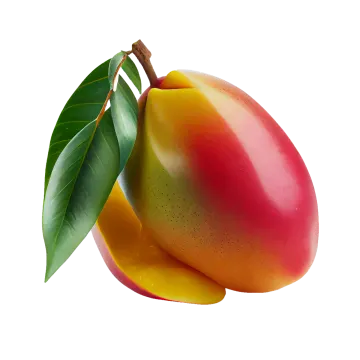 a mango on a white background
