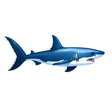 a shark with an open mouth