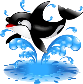 an orca jumping out of the water