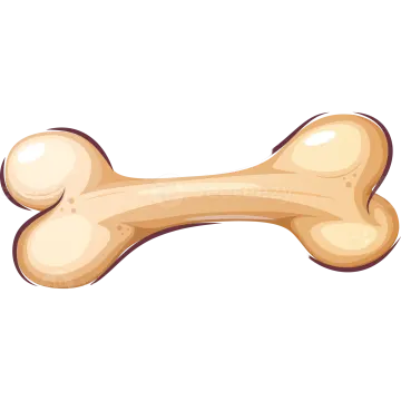 A cartoon bone