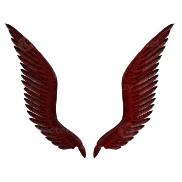 a pair of red wings