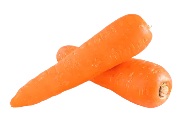 two carrots on a white background