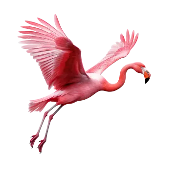 a pink flaming is flying in the air