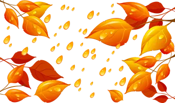 a seam of autumn leaves and drops