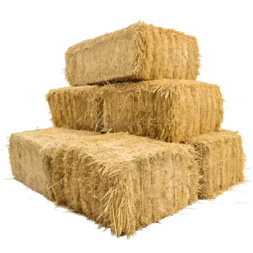 a pile of hay on a white background