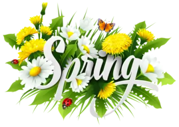 the word spring surrounded by flowers and butterflies