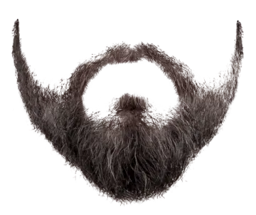 an image of a man's hair and beard