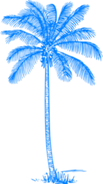 a drawing of a palm tree
