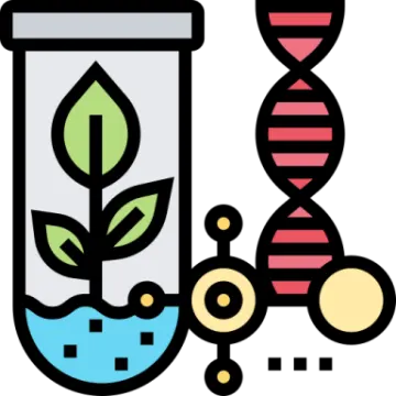 a glass filled with a plant and two dnas
