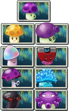 a bunch of different types of mushrooms