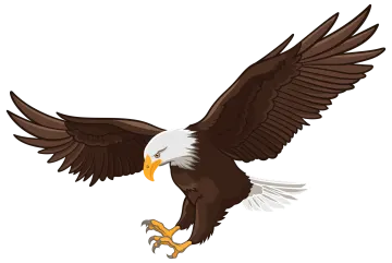 an eagle flying with its wings spread
