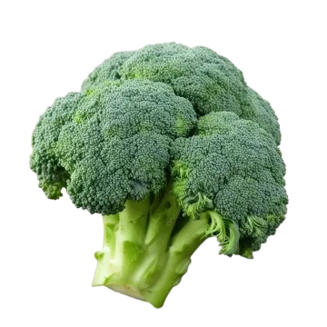 a close up of a piece of broccole