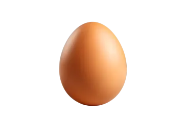 an egg on a white background