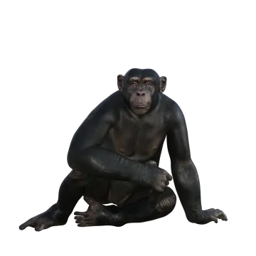 a gorilla sitting on the ground looking at something