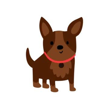 a brown dog with a red collar