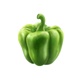 a green pepper on a white background