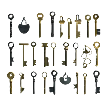 a bunch of keys on a white background