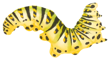 a yellow and black striped cat toy