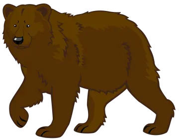 a brown bear on a white background