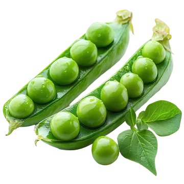 green peas with leaves on white background