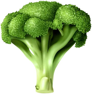 a close up of a bunch of broccote