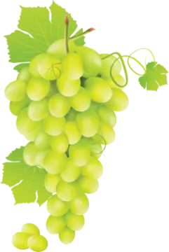 a bunch of grapes with green leaves