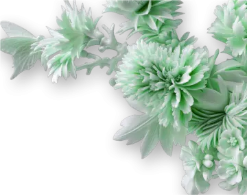 a bunch of green flowers on a white background