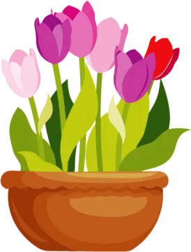 a pot filled with pink and red flowers