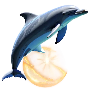 a dolphin jumping out of the water