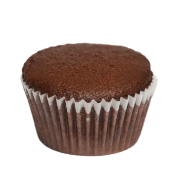 a chocolate cupcake on a white background