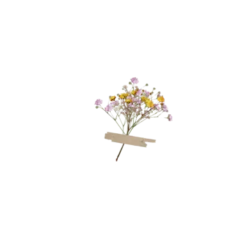 a bunch of flowers on a white background