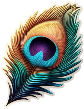 a peacock feather on a white background