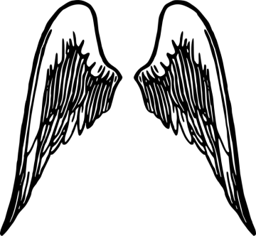 a pair of black and white angel wings