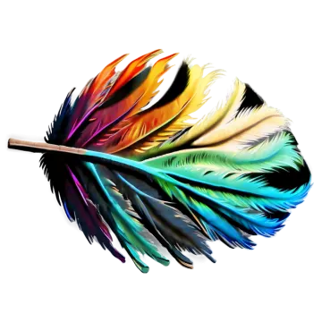 a colorful feather on a white background