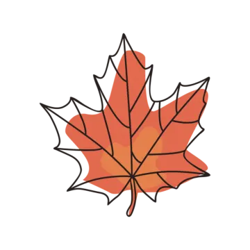 an orange maple leaf on a white background