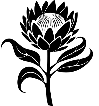 a black and white image of a lotus flower
