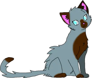 a gray cat with blue eyes sitting down