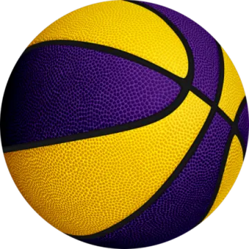 a yellow and purple basketball ball