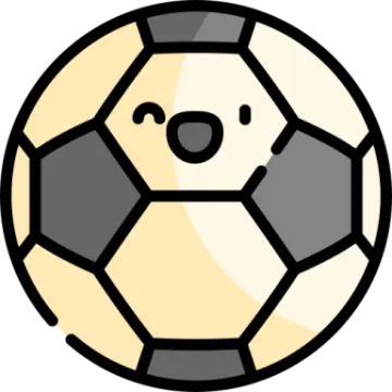 a soccer ball