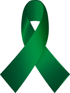 a green ribbon on a white background