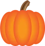 a pumpkin on a white background