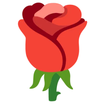 a red rose on a white background