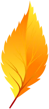 a yellow leaf