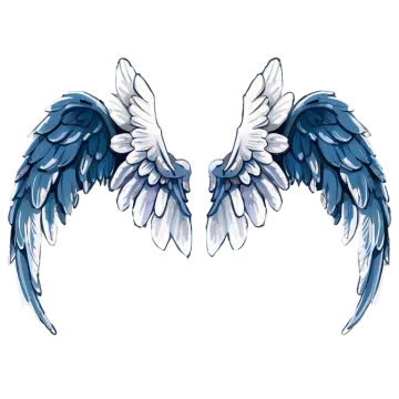 a pair of blue and white wings