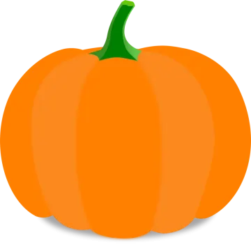 an orange pumpkin on a white background
