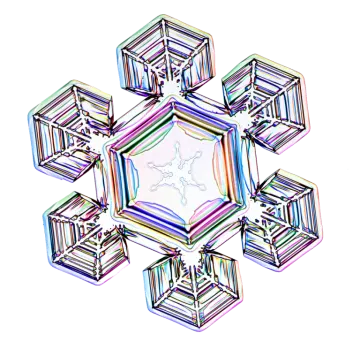 an image of a snowflorer