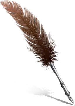a feather quill on a white background